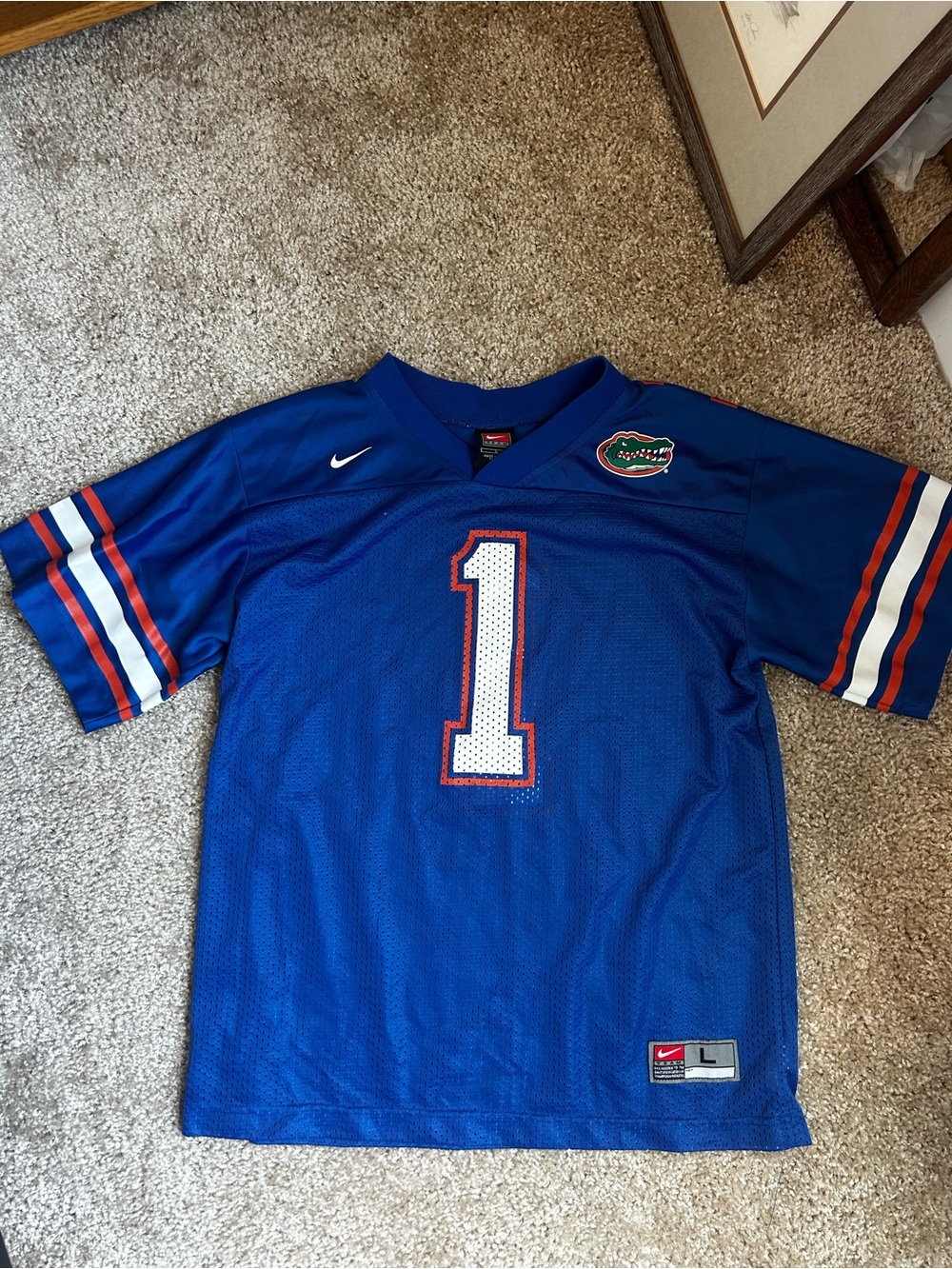 Nike Florida Gators jersey